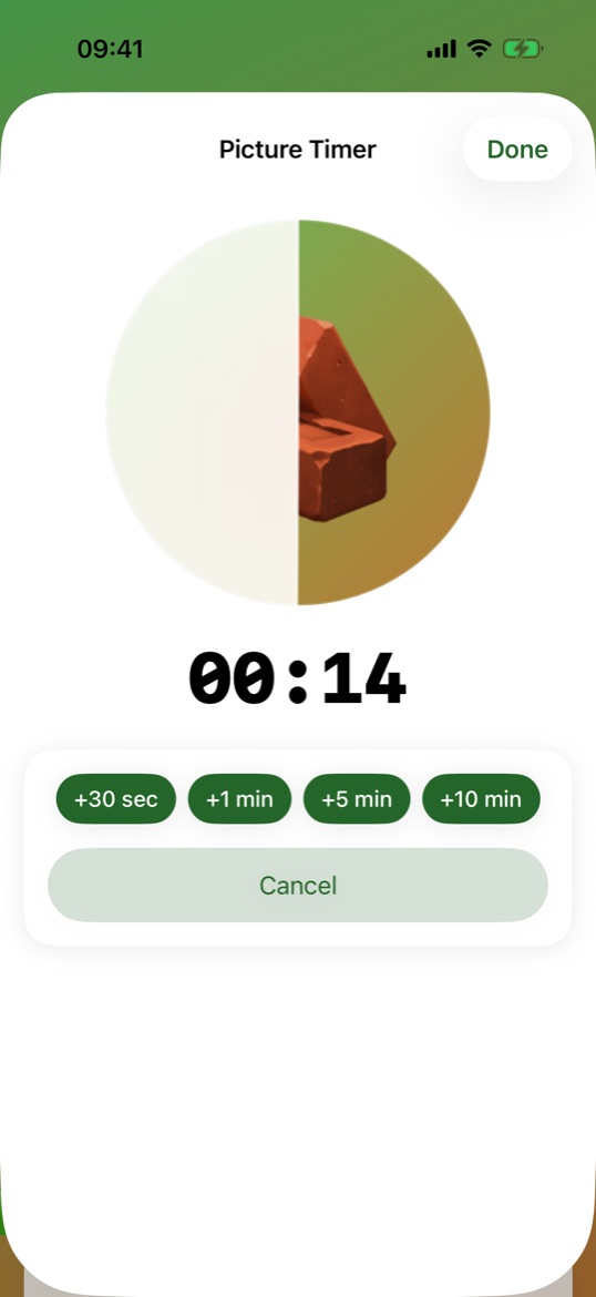 Picture Timer with 14 seconds left: the picture is half revealed as time runs.